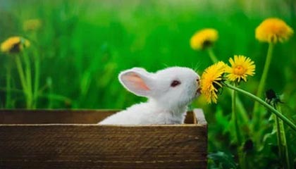 开云体育网站入口-克罗托内主场大破对手，轻松拿下一场胜利