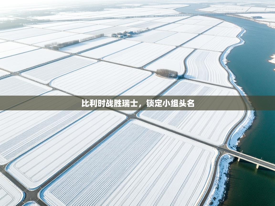 比利时战胜瑞士，锁定小组头名